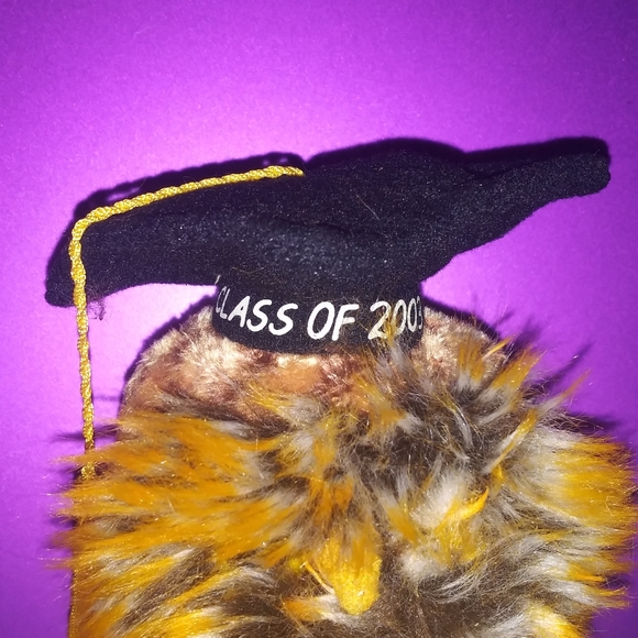 🌼 Smartest "Class of 2003"  Owl 🦉 - Picture 2 of 6